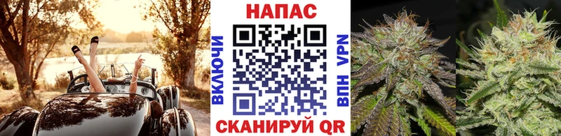 Канабис Amnesia  наркотики  Бодайбо 